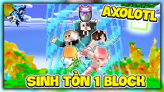 Minecraft Nhưng Sinh Tồn 1 Block Siro và Hero Team Phát Hiện Axolotl Trong Thế Giới Bị Giới Hạn [upl. by Atirabrab]