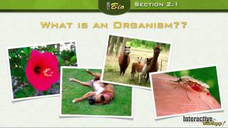 Principles of Ecology  Organisms and the Environment Part 1 [upl. by Felicio]