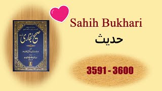 Sahih Bukhari Hadees in Urdu 35913600 Islamic Books Hadees💗💛 [upl. by Eireva]