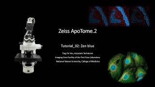 Tutorial Zeiss ApoTome2 中文操作示範 2Zenblue軟體操作 PART1 [upl. by Neehsuan42]