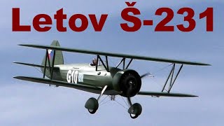 Letov Š231 giant scale RC biplane Nesvacily 2020 [upl. by Aihsit]