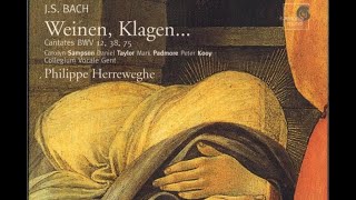 J S Bach  quotWeinen Klagenquot  BWV 12 38 75  Ph Herreweghe [upl. by Sollows383]