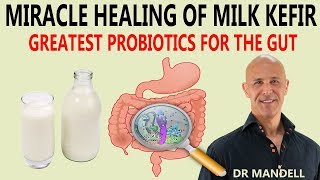 MIRACLE HEALING OF MILK KEFIRGREATEST PROBIOTICS FOR THE GUT  Dr Alan Mandell DC [upl. by Idell]