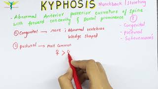 Kyphosis  Medical symptomatology  Types and Causes [upl. by Iliram]