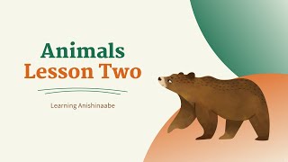 Learning Anishinaabe  Animals Lesson Two [upl. by Ardnuahs210]