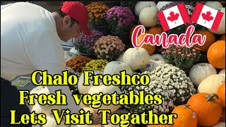 Chalo Freshco fresh vegetables Lets visit with me [upl. by Lavella539]