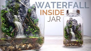 Amazing  Theres a Forest in a Little Jar shorts terrarium paludarium [upl. by Lipfert]