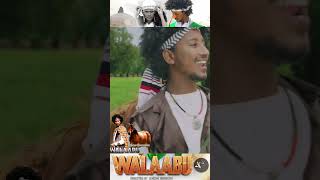 Leencoo Gammachuu Walaabuu New Oromoota Music 2023 [upl. by Lisk581]