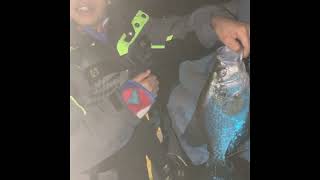 Kaweah lake crappie night fishing 4222023 [upl. by Ruenhcs652]