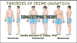 THEORIES OF CRIME CAUSATION Somatotyping Theory [upl. by Drape236]