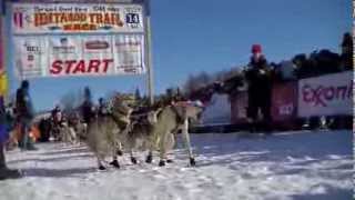 Iditarod Restart Aliy Zirkle [upl. by Juliette172]