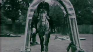 Magpie  Mounted Police  Thames Television  1969 [upl. by Yrrej]