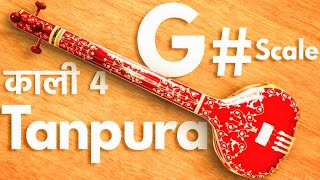 G Tanpura  Original Sound  Best for Singing Meditation  G sharp  Kali 4 [upl. by Rehpoitsirhc]