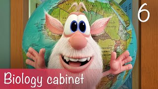 Booba  Biology cabinet  Episode 6  Cartoon for kids [upl. by Waddington630]