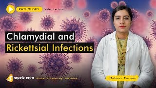 Chlamydial and Rickettsial Infections  Medical School  Pathology Lectures  VLearning [upl. by Iffar457]