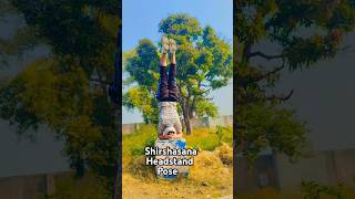 Shirshasana Headstand modern yoga exercises Shorts fitness 🙏🧘‍♂️🇮🇳 [upl. by Nnyleimaj]