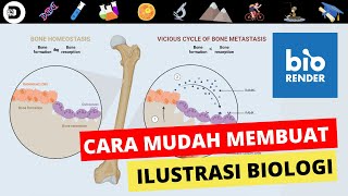 TUTORIAL CARA MEMBUAT MEDIAGAMBARILUSTRASIPOSTER BIOLOGI DENGAN BIORENDER  DIRGA BIOLOGY CHANNEL [upl. by Nylinej]