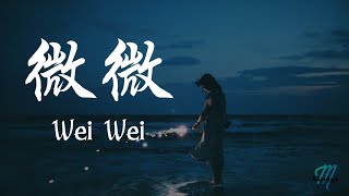 Fu Ru Qiao 傅如喬 – Wei Wei 微微 LyricsEnglish Translation 歌词 Pinyin 動態歌詞 [upl. by Adis]