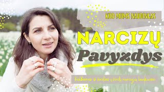 Narcizų rodomas pavyzdys naudingas [upl. by Robin220]