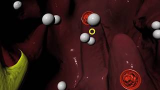 Beta Blockers for Hypertension high blood pressure Arrhythmias irregular heartbeat [upl. by Monie]