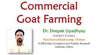 Commercial Goat farming Sheepfarming Goatfarming Sathyazerograzing [upl. by Ahseiuqal]