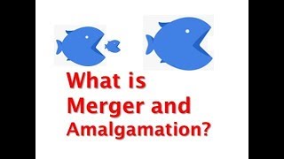 Mergers and Amalgamations of Companies [upl. by Hagile163]