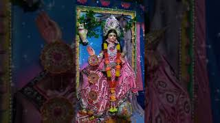 laxmi laxmipuja esomalokkhibosomaalokkhi shortvideo shorts [upl. by Elohcim]