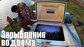 Зарыбление водоема quotНовая рыбалкаquot в Белгороде 1035 кг карпа [upl. by Hillman445]