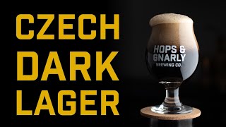 How to Brew a Czech Dark Lager  Brewtools B40  EP43 [upl. by Treblah]