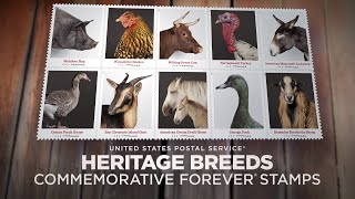 USPS Heritage Breeds Commemorative Forever® Stamps [upl. by Odlonra]