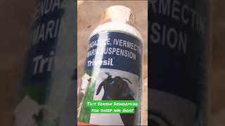 This Season Dewormer for Sheep and Goat [upl. by Crawley]