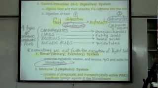 Intro to Human Physiology by Professor Fink [upl. by Otreblif]