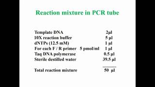 Reaction Mixture in PCR Tube [upl. by Ebeneser386]