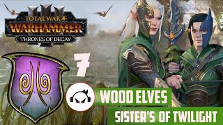 FOREST DRAGON CEITHINHAR  Total War Warhammer 3 IE Part 7 Sisters of Twilight Campaign [upl. by Sivar]