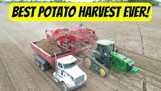 Best potato harvest ever 2023  How potato harvest works [upl. by Yerg]