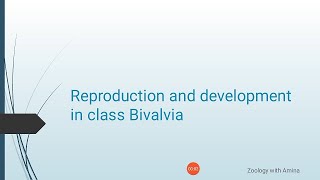 Reproduction and development in class Bivalvia  Phylum mollusca class Bivalvia Reproduction [upl. by Ahsilahs]