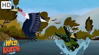 Every Creature Rescue Part 1  Protecting The Earths Wildlife  Wild Kratts [upl. by Aieken]