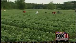 Strawberry fest in Waupaca County [upl. by Rachaba]