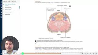 Gray Anatomia Clínica para Estudantes Cap 8  Cabeça e Pescoço Compartimentos cervicais [upl. by Rolph]