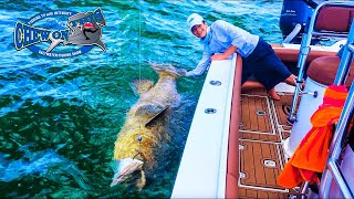 KIDS FISHING Show Compilation Videos  HAMMERHEAD SHARK  BIG Fish GOLIATH GROUPERS [upl. by Varney]