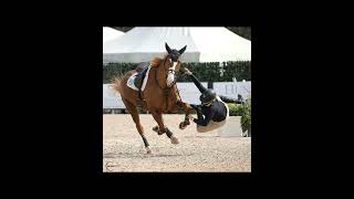 Horsey girls are the toughest women on the planet edit ll motivational [upl. by Kerril]