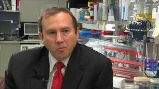 New Tests for TCell Lymphoma [upl. by Naimed515]