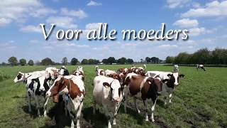 Voor alle moeders moederdag happyfarmlife [upl. by Nesline]