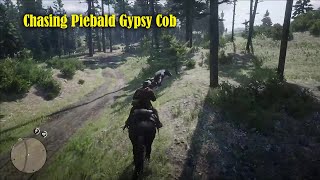 Piebald Gypsy Cob another beautiful online horse  Red Dead Redemption 2 note this is fun mod play [upl. by Lekar]