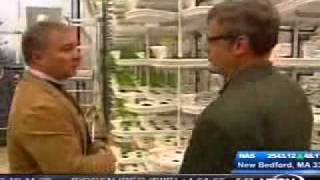 Jim Bouldin Looks at Vertical Farming at Paignton Zoo [upl. by Cobbie]