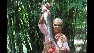 Village food Big catfish curry prepared by grandmother  Magur macher vuna curry [upl. by Yancey]