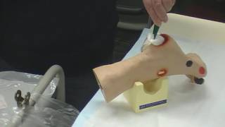 Advanced Wound Care Skills Video QUT School of Nursing [upl. by Siloam156]