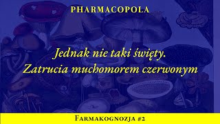 Muchomor czerwony jednak nie taki święty Zatrucia Amanita muscaria  Farmakognozja 2 [upl. by Polard476]