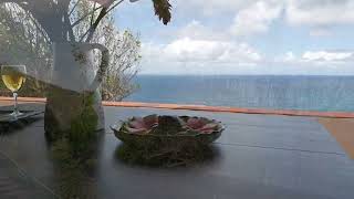 Cliff side Ocean View Estate with Cottage Cap Estate St Lucia [upl. by Mable]