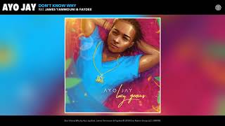 Ayo Jay  Dont Know Why Feat James Yammouni and Faydee Audio [upl. by Rennerb]